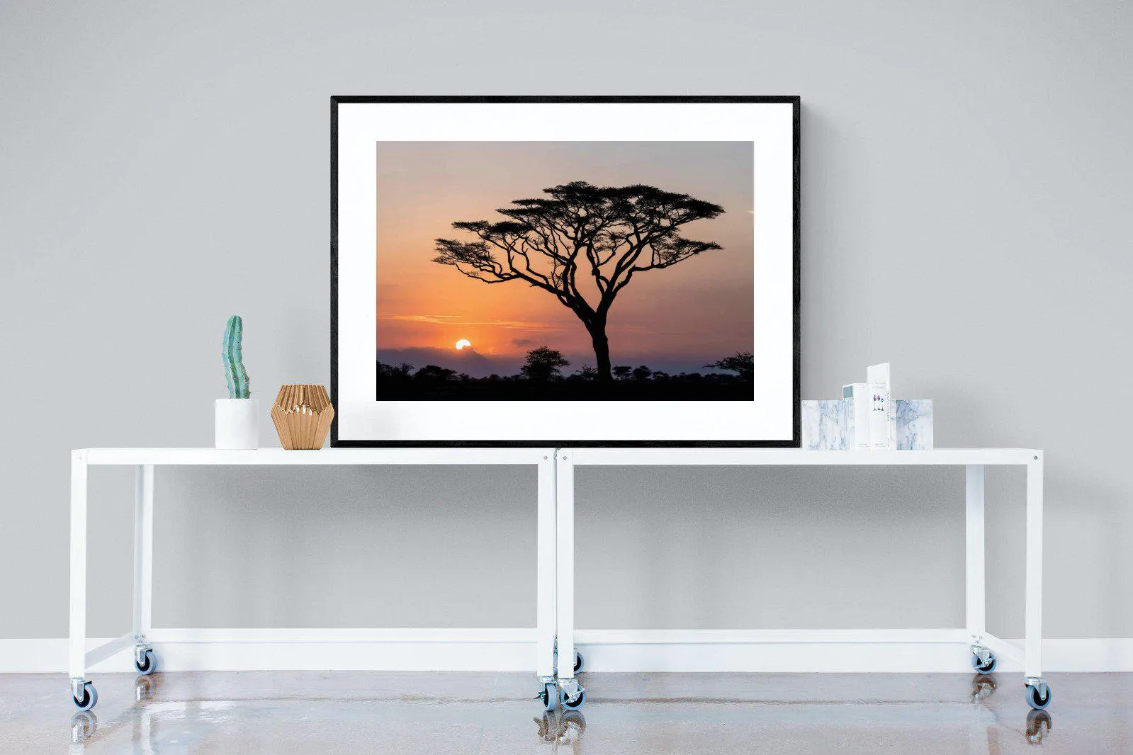 Acacia Sunset