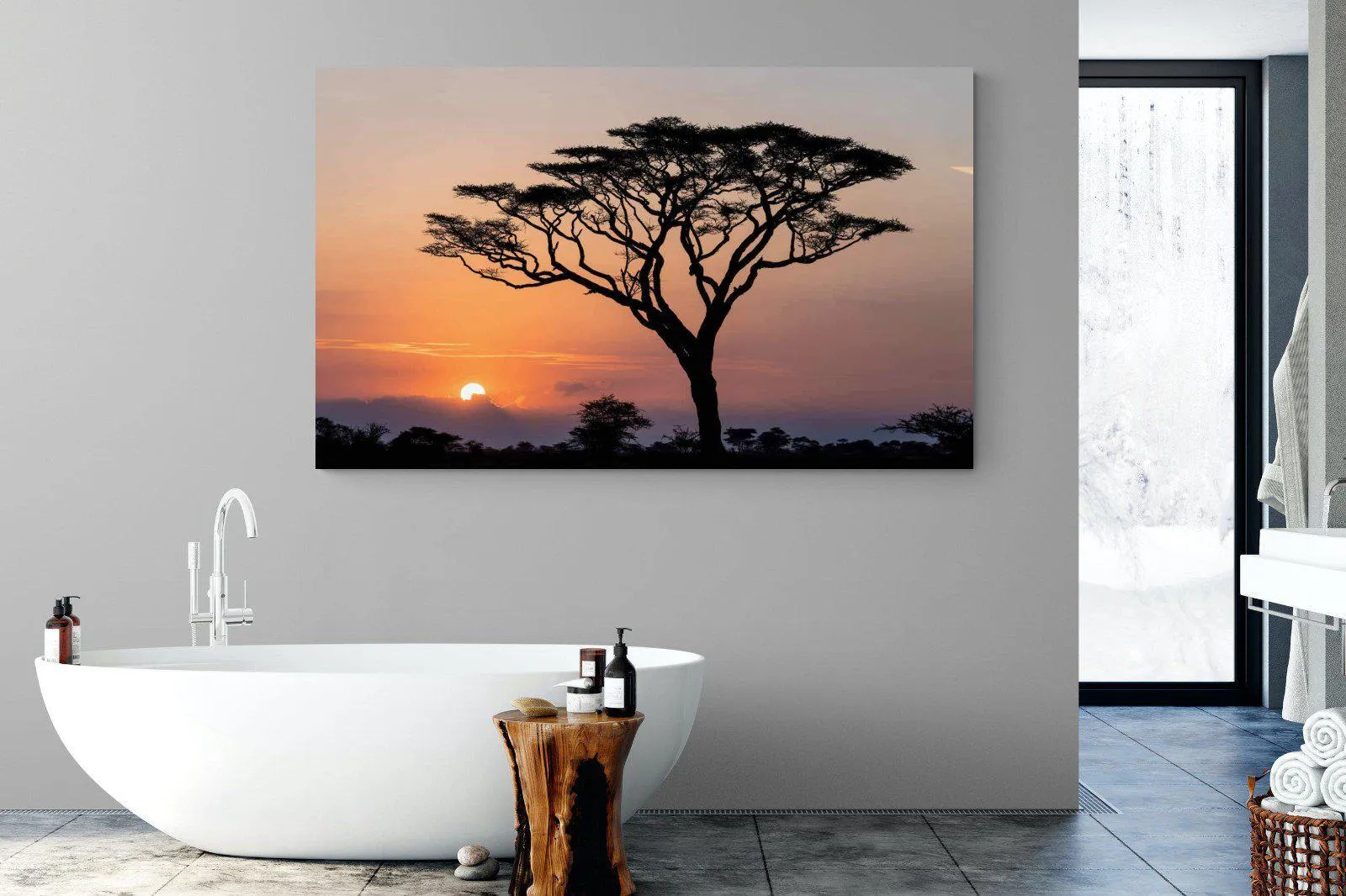 Acacia Sunset