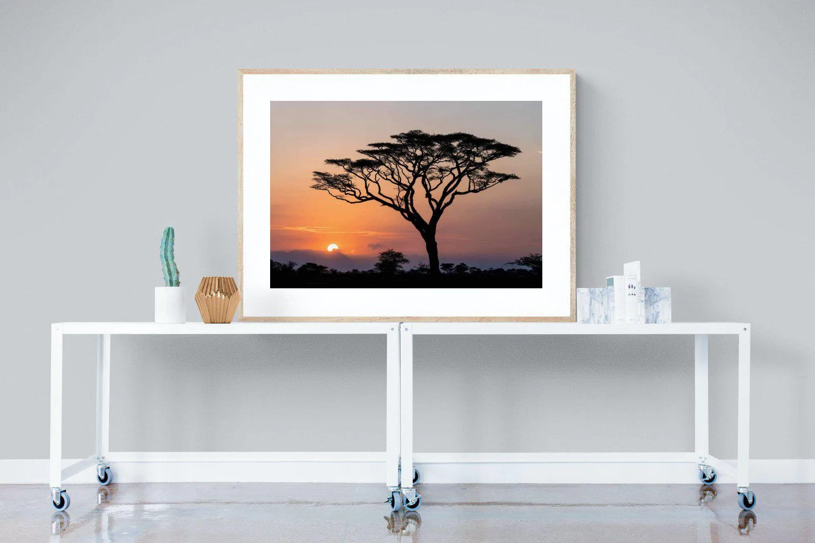 Acacia Sunset