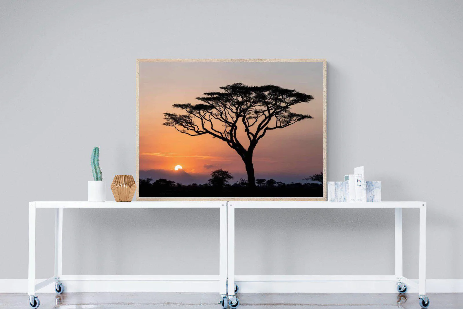 Acacia Sunset