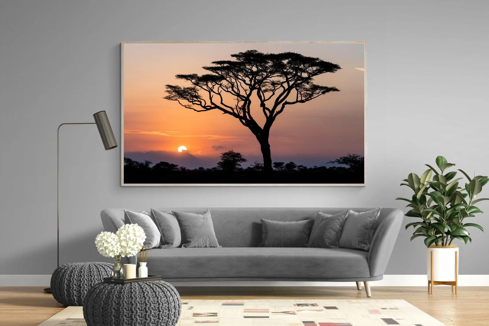 Acacia Sunset