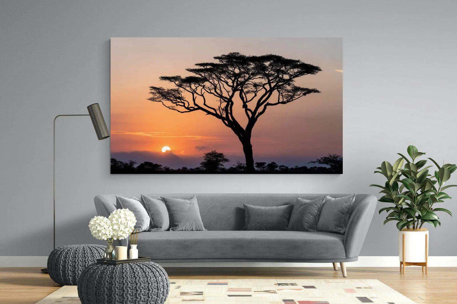 Acacia Sunset