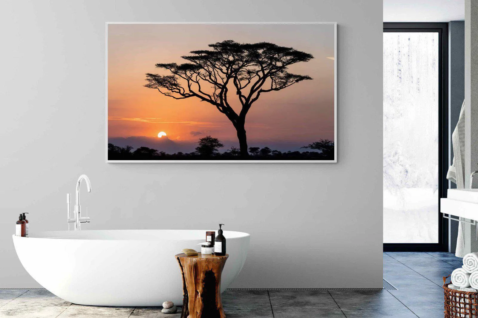 Acacia Sunset