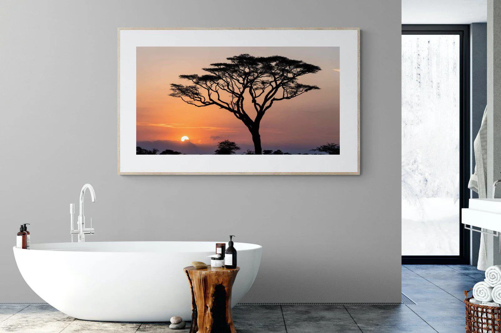 Acacia Sunset