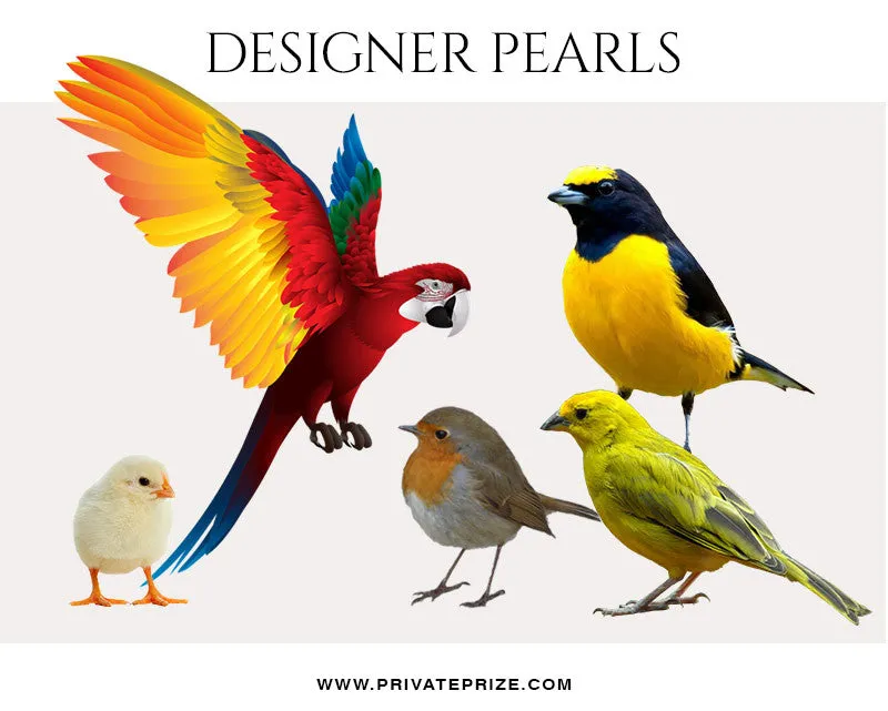 Birds- Designer Pearls