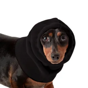 Miniature Dachshund Hood